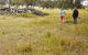 Sundown National Park Camping - thumb 2