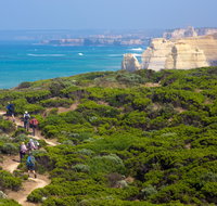 Twelve Apostles Lodge Walk - Tweed Heads Accommodation