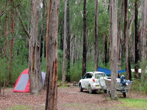 Wallingat River Campground - Tweed Heads Accommodation 0