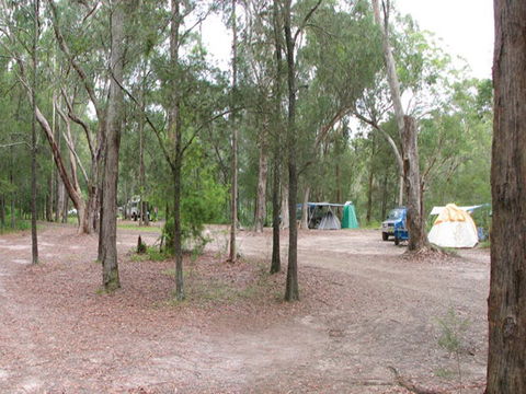 Wallingat River Campground - Tweed Heads Accommodation 1