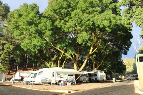 Williamstown Queen Victoria Jubilee Park - Tweed Heads Accommodation 0