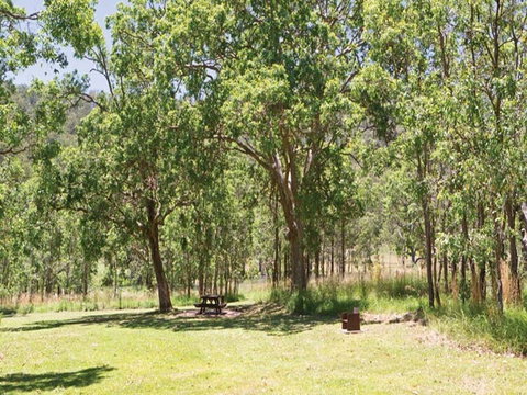 Youdales Hut Campground And Picnic Area - Tweed Heads Accommodation 0