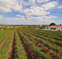 1837 Barossa Luxury Vineyard Cottages - Tweed Heads Accommodation