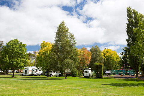 Armidale Tourist Park - Tweed Heads Accommodation 0