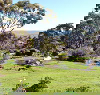 Austiny Bed and Breakfast - Tweed Heads Accommodation
