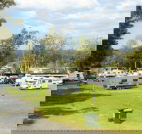 Berry Showground Camping - Tweed Heads Accommodation