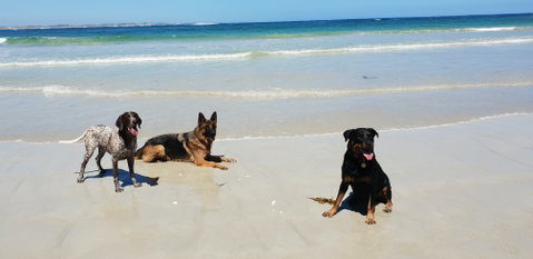 BIG4 Warrnambool Figtree Holiday Park - Tweed Heads Accommodation 2