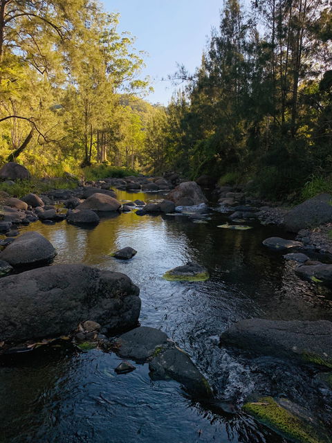 Cave Rock Cottages - Tweed Heads Accommodation 0