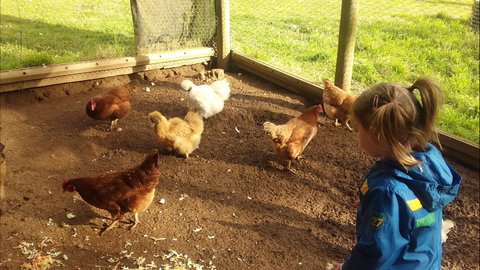 Emerald Park Holiday Farm - Tweed Heads Accommodation 2