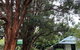 Fernleigh Accommodation - thumb 0