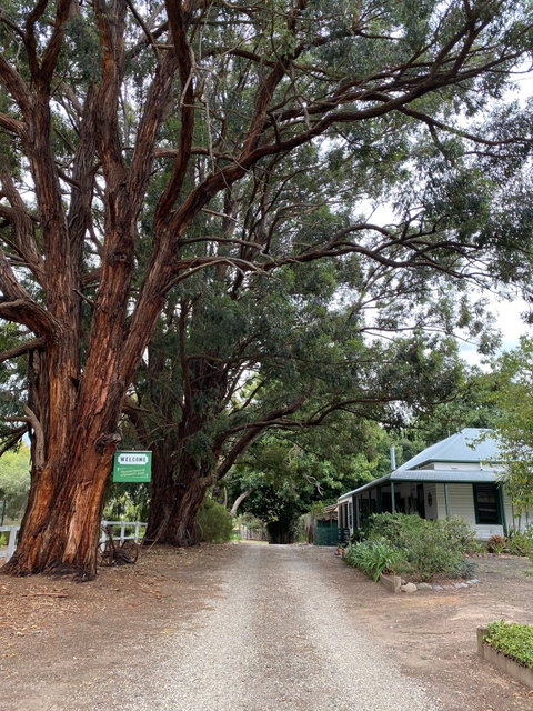 Fernleigh Accommodation - Tweed Heads Accommodation 0