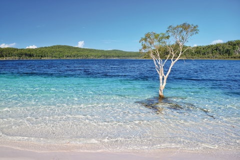 Fraser Island Fishing Units - Tweed Heads Accommodation 0