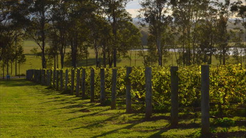 H Boutique Hotel - Tweed Heads Accommodation 0