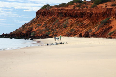 Herald Bight Camp At Francois Peron National Park - Tweed Heads Accommodation 0