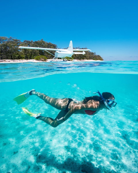 Heron Island Resort - Tweed Heads Accommodation 1