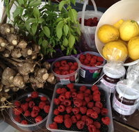 Pennyroyal Raspberry Farm and Cidery - Tweed Heads Accommodation