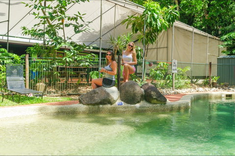 Safari Lodge - Tweed Heads Accommodation 2