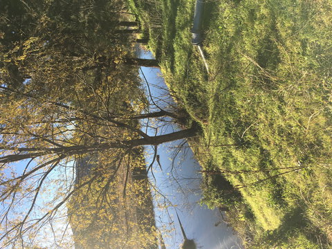 The Old Dairy At Baerami - Tweed Heads Accommodation 1