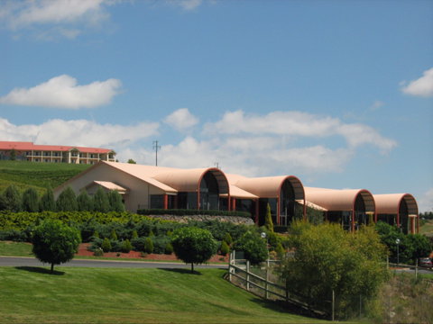 Turners Vineyard Motel - Tweed Heads Accommodation 1