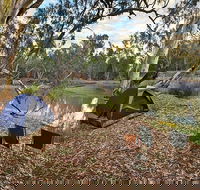 Woolpress Bend campground - Tweed Heads Accommodation