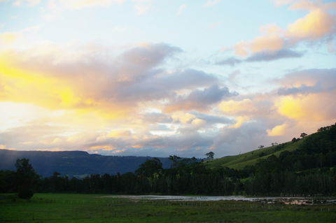 Back Forest Retreat - Tweed Heads Accommodation 0