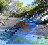 Big4 Aussie Outback Oasis Holiday Park - Tweed Heads Accommodation
