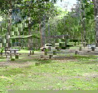 Broadwater camping area Abergowrie State Forest - Tweed Heads Accommodation