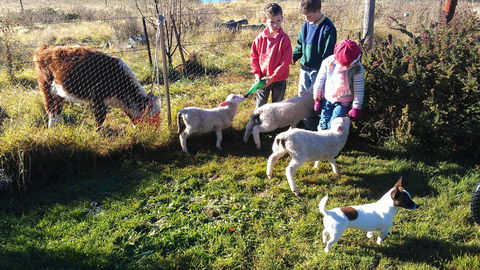 Dairy Park Farm Stay Bed And Breakfast - Tweed Heads Accommodation 2