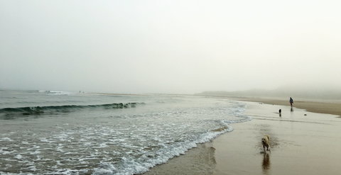 Drift Beach Shack - Tweed Heads Accommodation 0