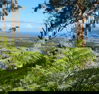 Escarpment - Tweed Heads Accommodation