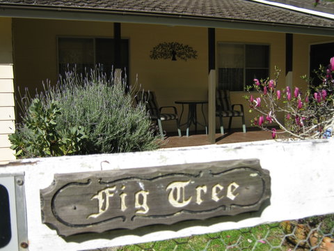 Figtree Cottage - Tweed Heads Accommodation 0