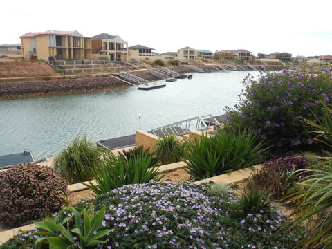 Happy Gilmore - Tweed Heads Accommodation 0