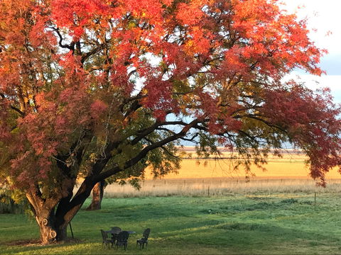 Little Kickabell Country Homestead - Tweed Heads Accommodation 0