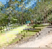Mogo campground - Tweed Heads Accommodation