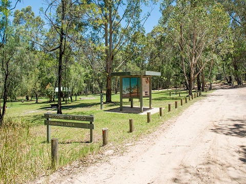 Mogo Campground - Tweed Heads Accommodation 0