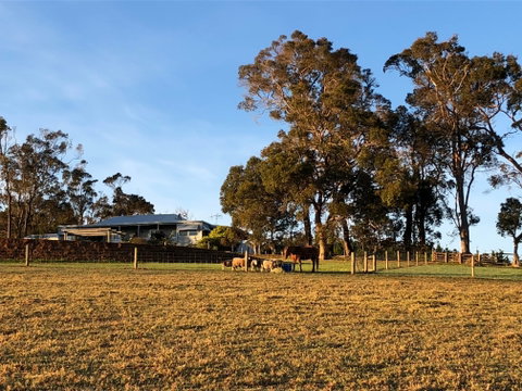 Great Southern Outback Tours & Accommodation - Tweed Heads Accommodation 2