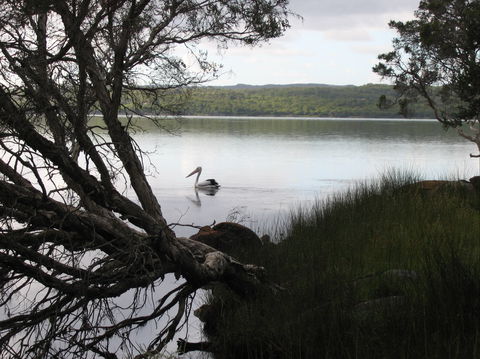 The Cove - Tweed Heads Accommodation 0
