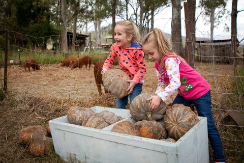Tommerups Dairy Farmstay - Tweed Heads Accommodation 2