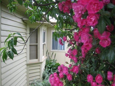 Valley Views Bed And Breakfast - Tweed Heads Accommodation 0