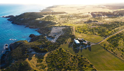Yondah Beach House - Tweed Heads Accommodation 1