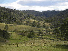 Yasuragi Cabins - Tweed Heads Accommodation 0