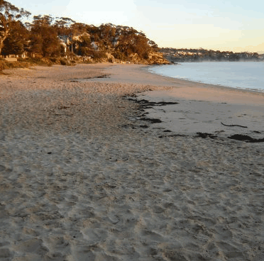 Beachhaven Bed & Breakfast - Tweed Heads Accommodation 5