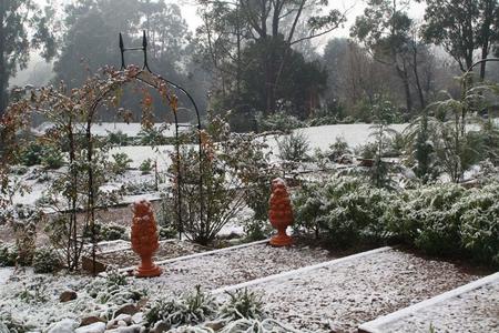 Delderfield Luxury B And B - Tweed Heads Accommodation 4