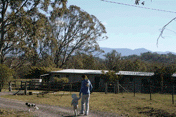 Bumblebrook Farm Motel - Tweed Heads Accommodation 0