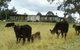 Bumblebrook Farm Motel - thumb 1