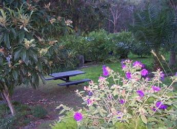 Sunway Farm B And B And Tours - Tweed Heads Accommodation 2