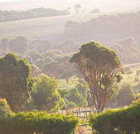 Mackas Farm - Tweed Heads Accommodation