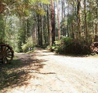 Hill n Dale Farm Cottages - Tweed Heads Accommodation