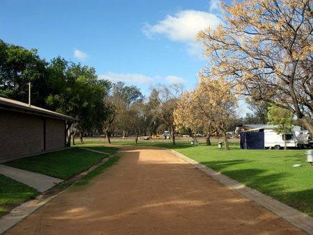 Pental Island Caravan Park And Holiday Farm - Tweed Heads Accommodation 5