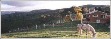 Idlewild Park Farm Accommodation - Tweed Heads Accommodation 1